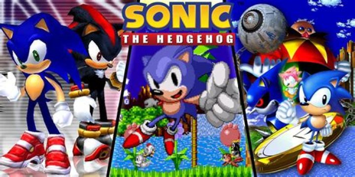 ___ the Hedgehog (Sega video game franchise)