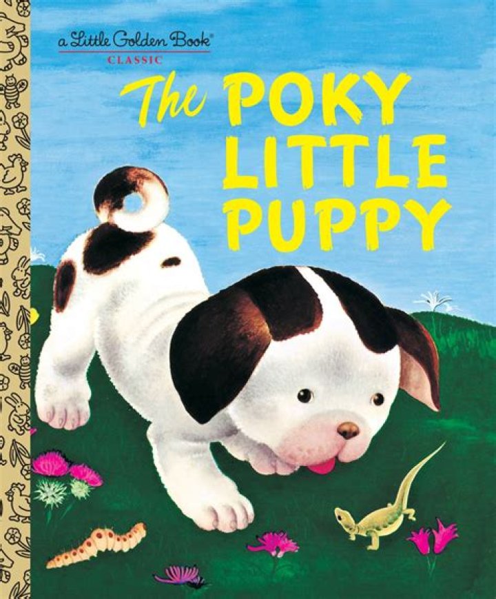 The ___ Little Puppy (children's book)