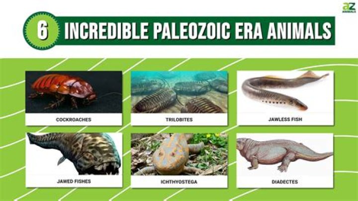The Mesozoic or the Paleozoic for example