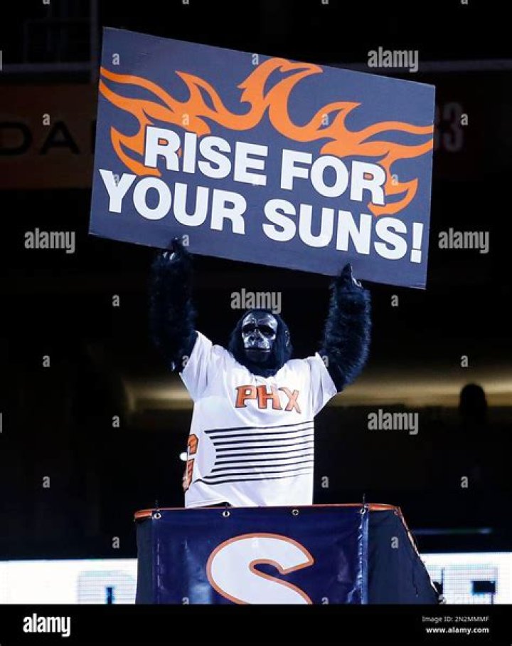 The Phoenix Suns mascot for example