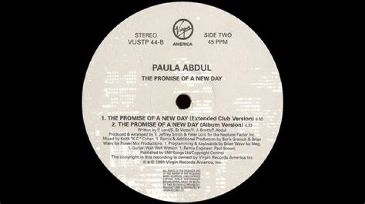 The Promise of ___ Day (Paula Abdul song): 2 wds.