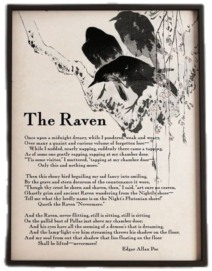 The Raven and Other Poems author