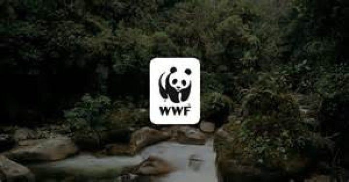 The World Wildlife Fund's panda for example