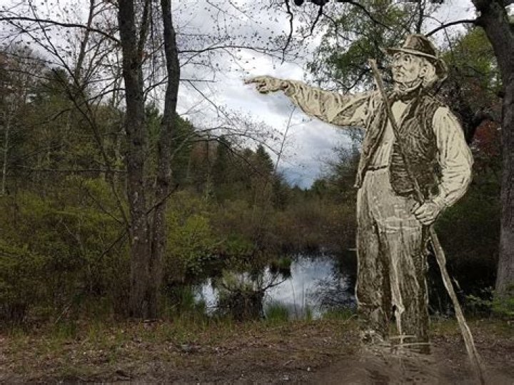 Thin stalk in a swamp