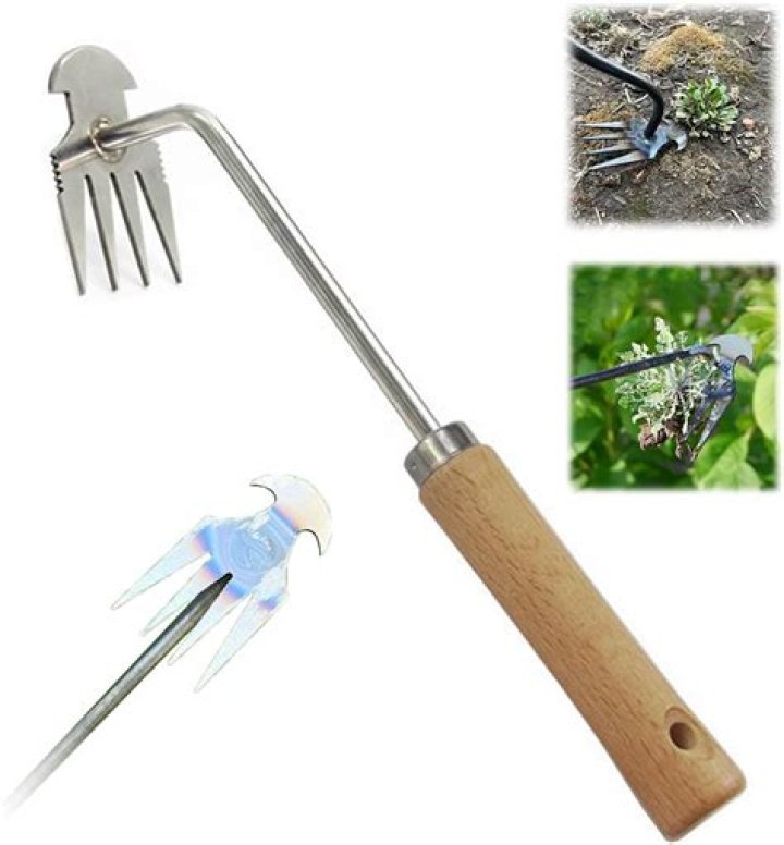 Tool a gardener might use when weeding