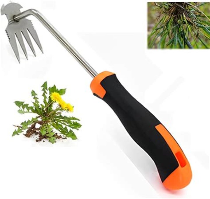 Tool for weeding