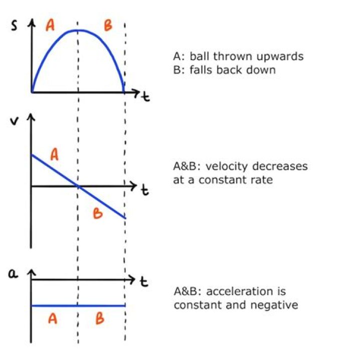 Toss a ball in the air