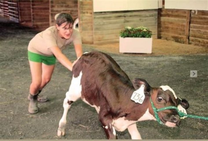 Tower used to store grain