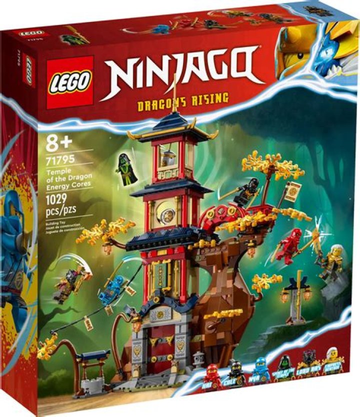 Toy brick brand with a Ninjago line