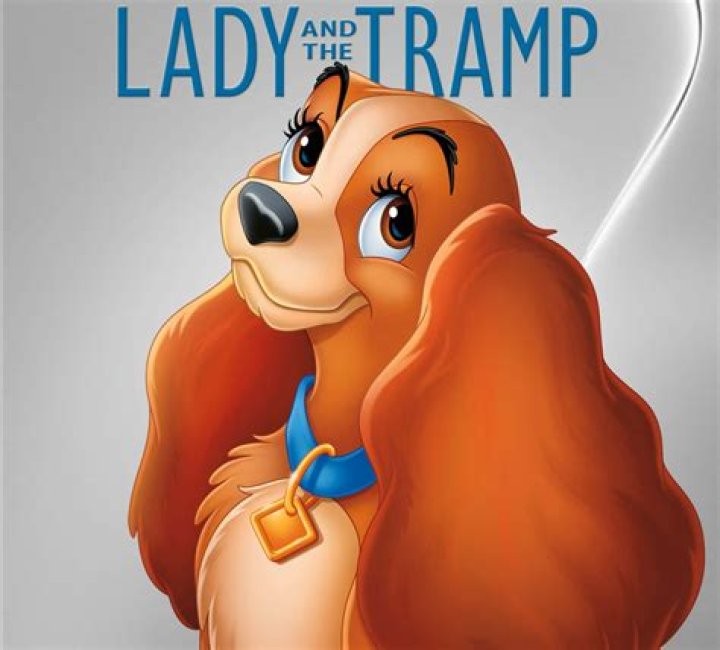 Tramp's love in a Disney classic