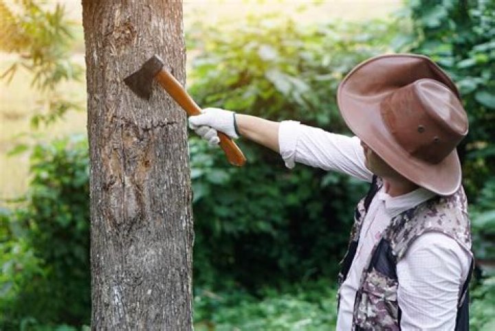 Tree chopper with a handle