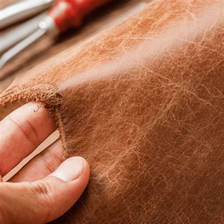 Tree whose bark is used in tanning leather
