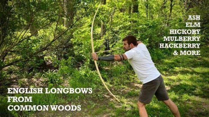 Trees whose wood is found in longbows