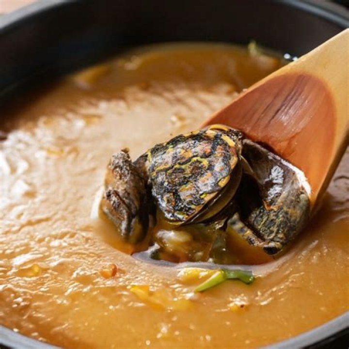 ___ turtle soup