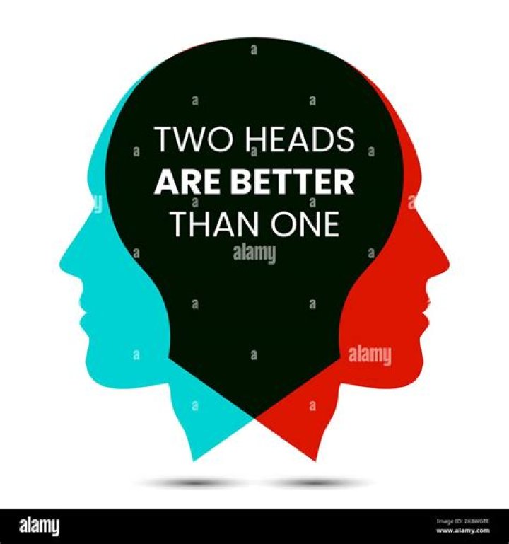 Two heads are better than ___