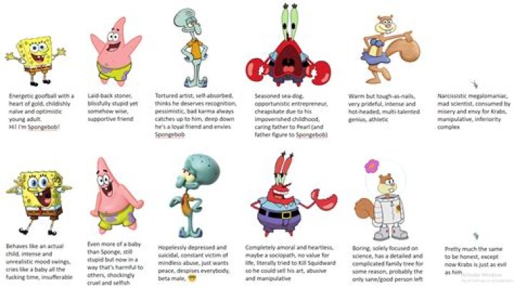 Type of animal that SpongeBob's pet is