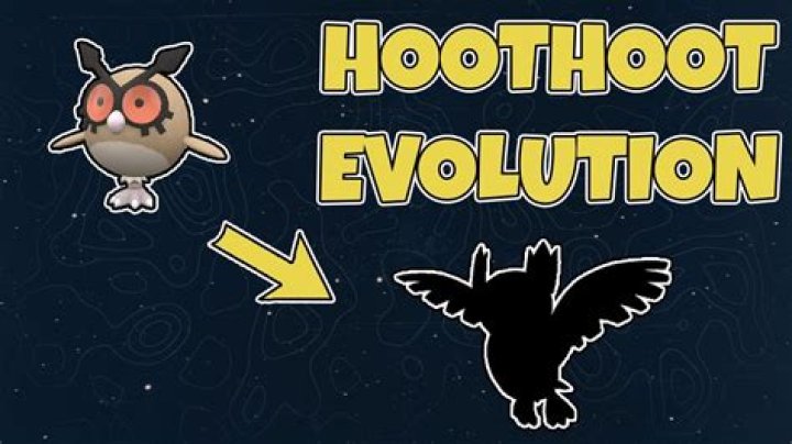 Type of bird that Pokémon's Hoothoot is