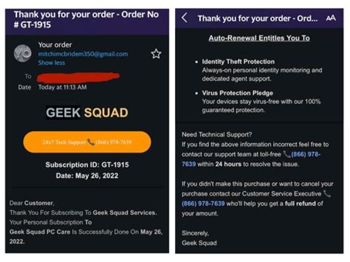 Type of help from the Geek Squad