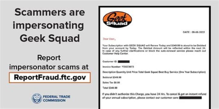 Type of help provided by Best Buy's Geek Squad