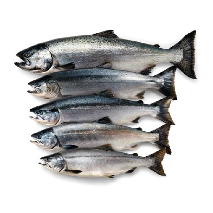 Type of salmon often bought at a Jewish deli