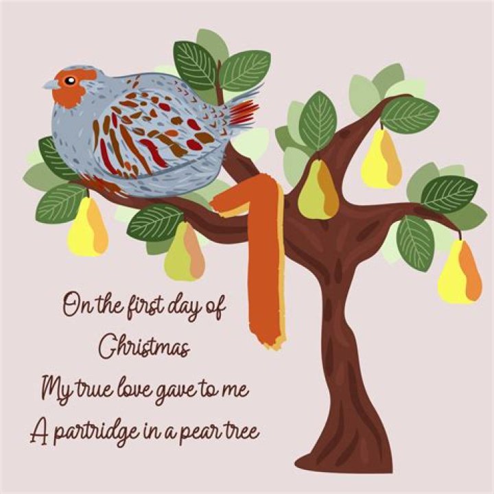 Type of tree for a partridge in a Christmas carol