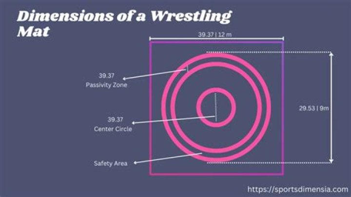 Type of wrestling set in a circular ring
