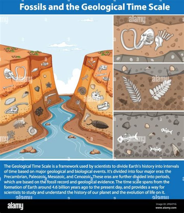 Unearthed like fossils or evidence: 2 wds.