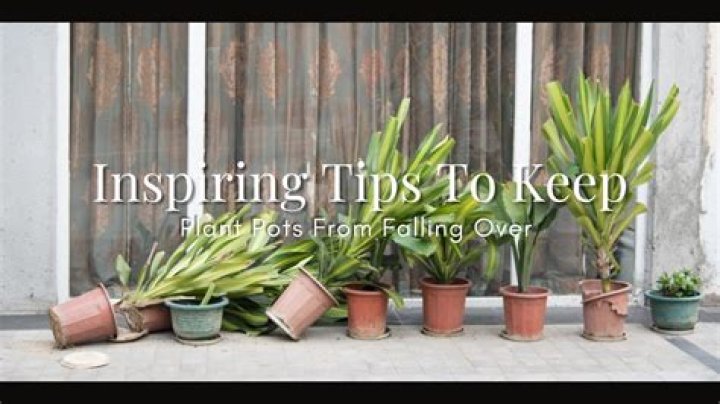 ___ up (keep from falling over)