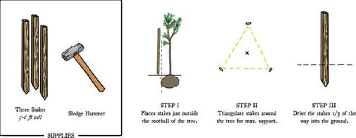 Up the ___ (raise the stake)