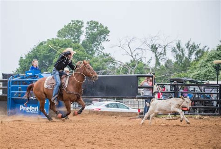 Venue for calf roping