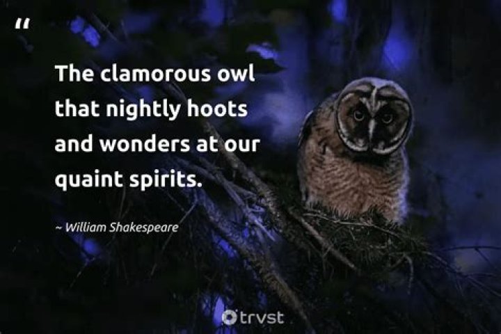 Watchful nocturnal bird that hoots