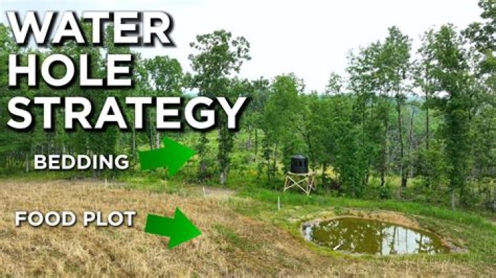 Watering holes in deserts