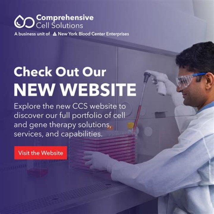 Website featuring auctions