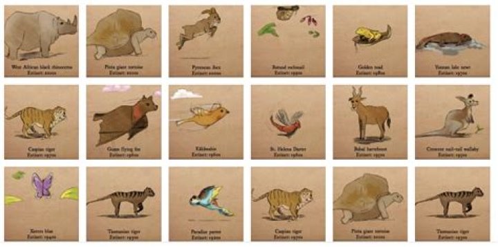 Went the way of the ___ (became extinct)