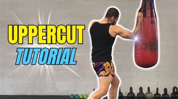 What a boxer may hit with an uppercut