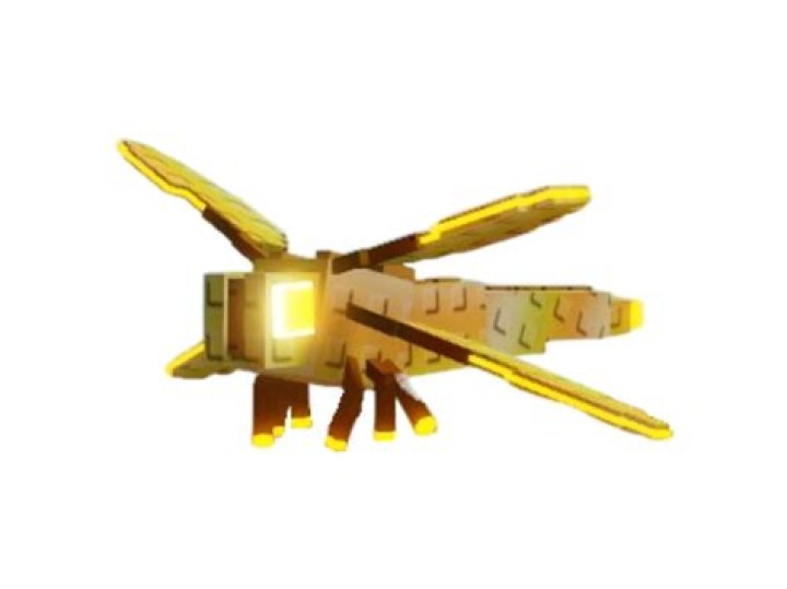 What a fly might get trapped in