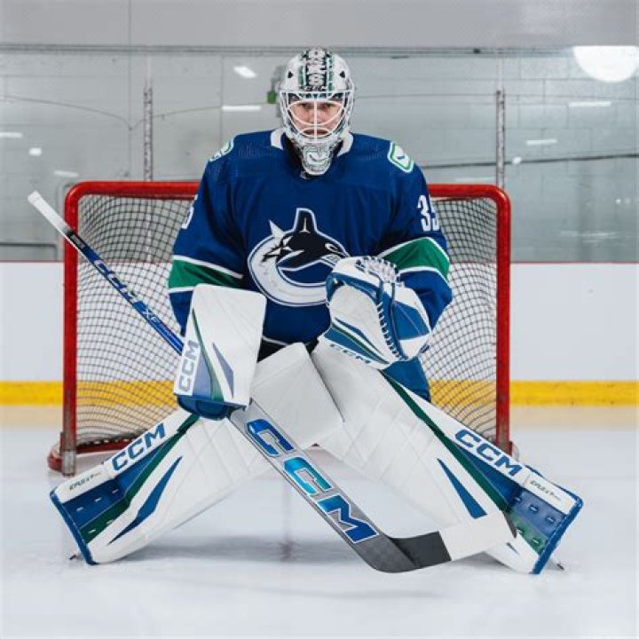 What a hockey goalie guards