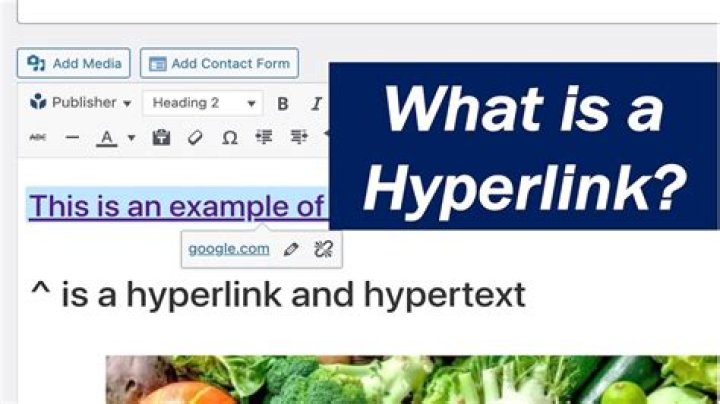 What a hyperlink links to: Abbr.