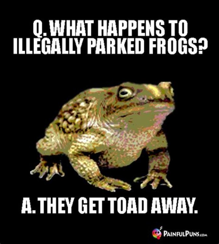 What do you call a frog that's illegally parked? A ___!