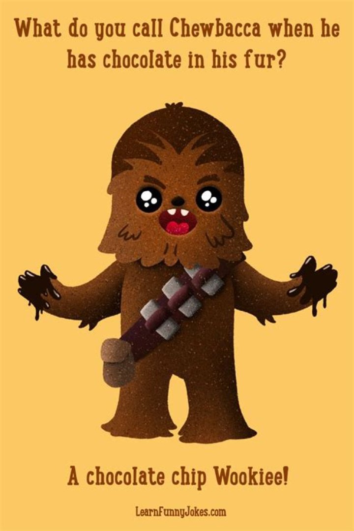 What do you call Chewbacca when chocolate is stuck in his hair? Chocolate Chip ___