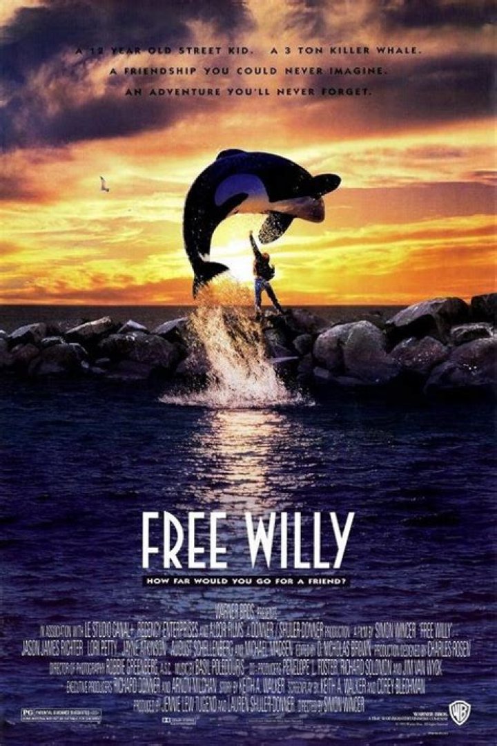 What the title character in Free Willy was