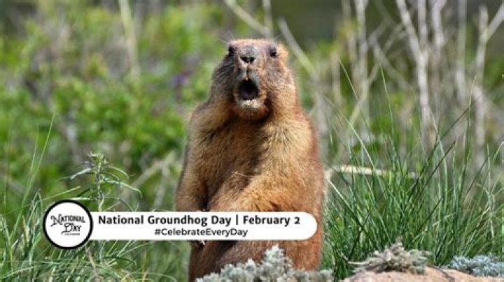 When Groundhog Day is: Abbr.
