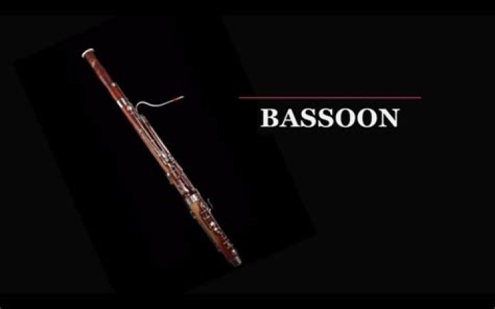 Wind instrument related to the bassoon