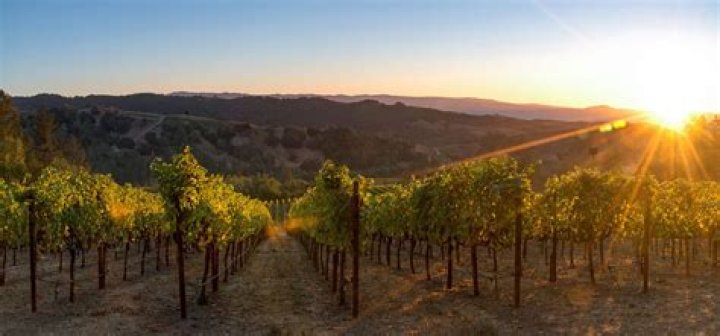 Wine valley in northern California