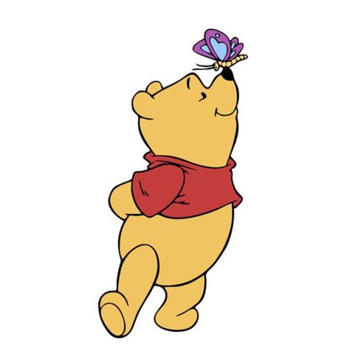 Winnie the ___