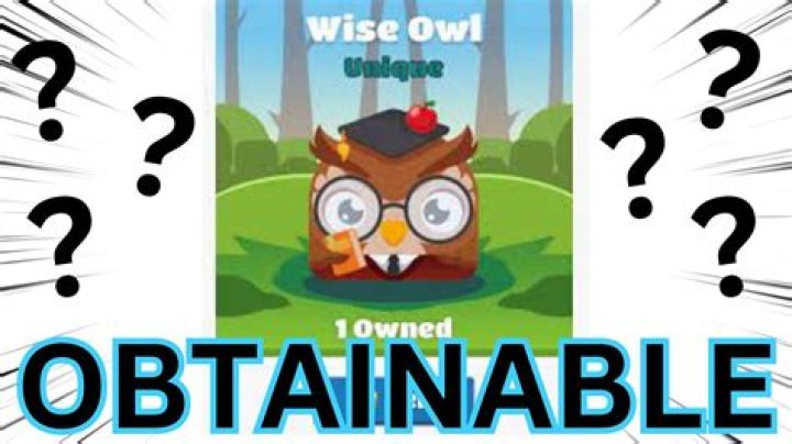 Wise ___ owl: 2 wds.