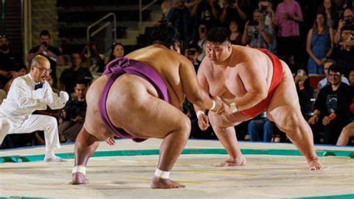 World capital where you could find many sumo wrestlers