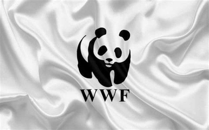 World ___ Fund (group with a panda logo)