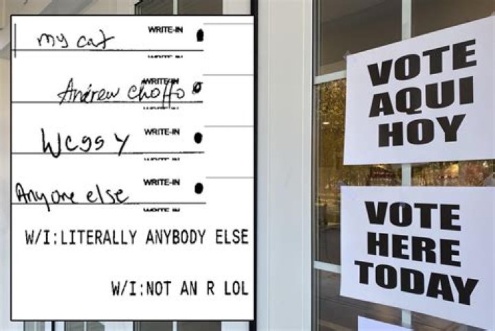 Write-___ (some votes)