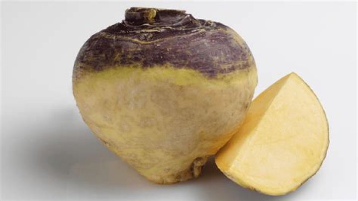 Yellow turnip